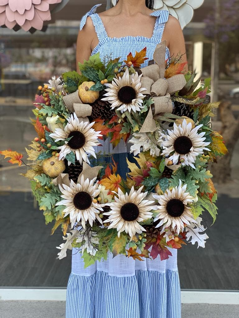 Entregas a Domicilio